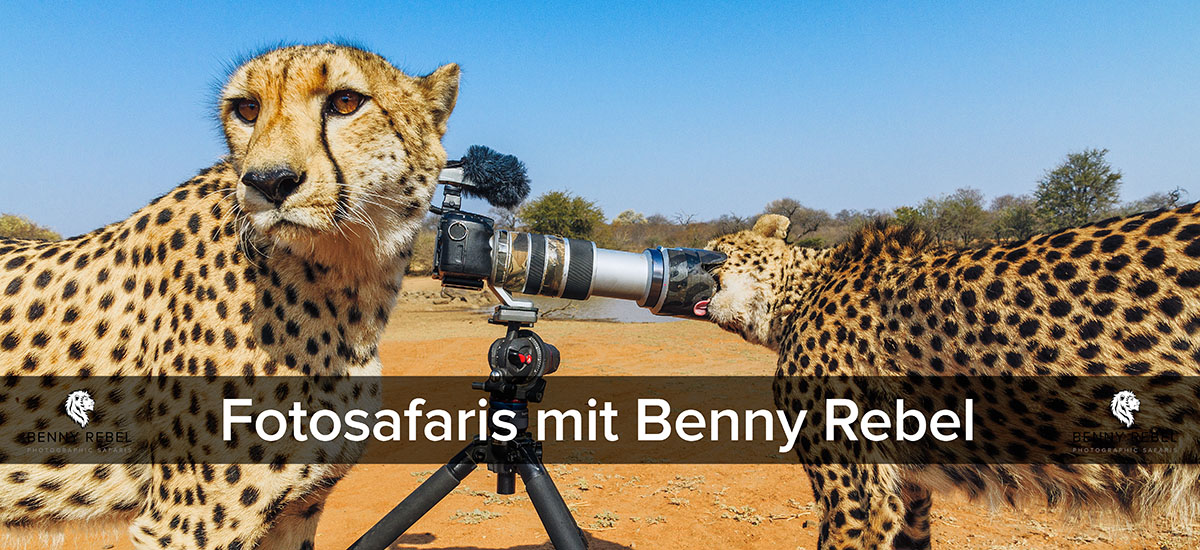 Fotosafaris mit Benny Rebel