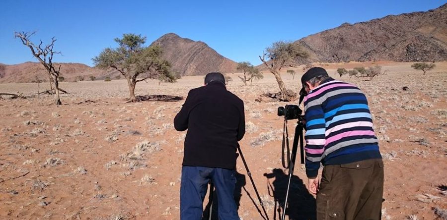 Landschaft in der Namib-Wüste