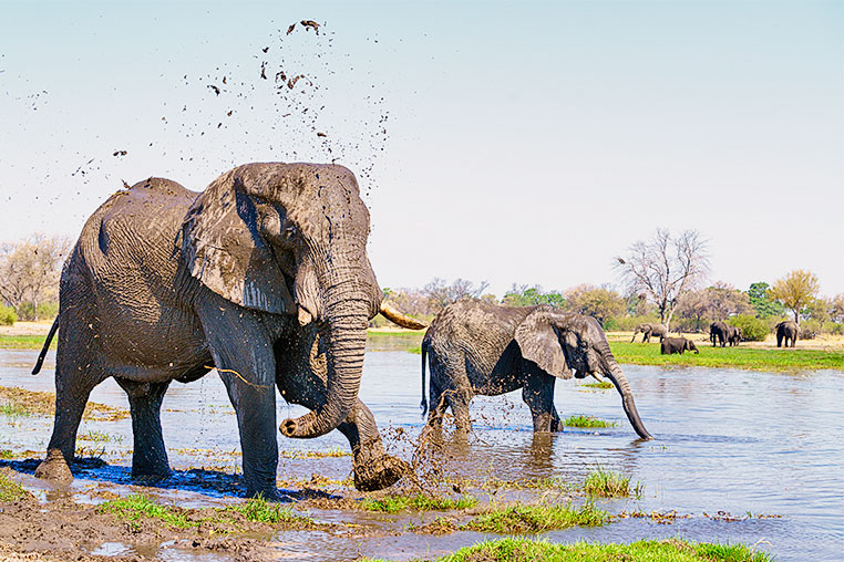 Simbabwe Fotosafari