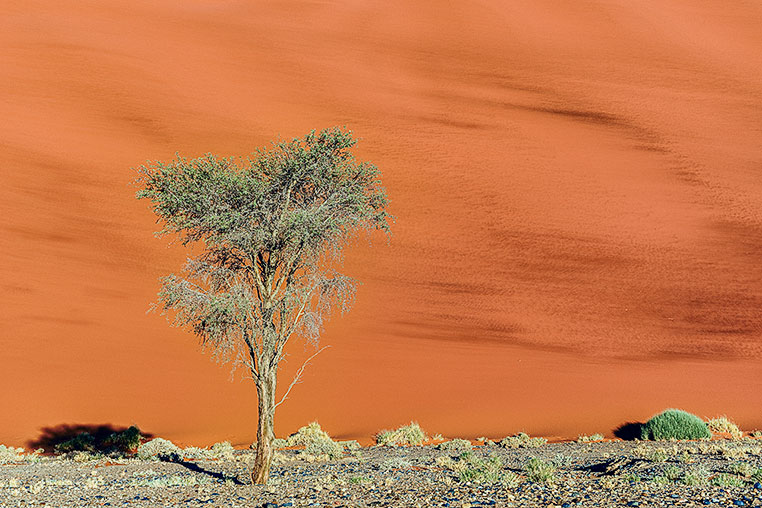 Fotosafari_Namibia_Fotoreise_Sueden_Afrika_17