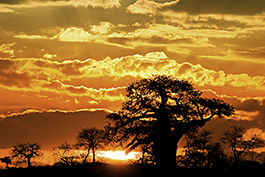 Sonnenuntergang in Afrika fotografieren