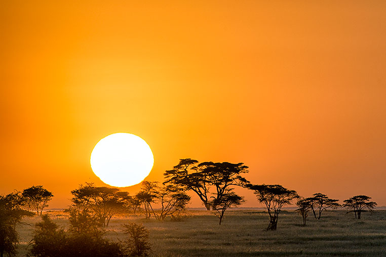 fotoreise-kenia-fotosafari-afrika-058