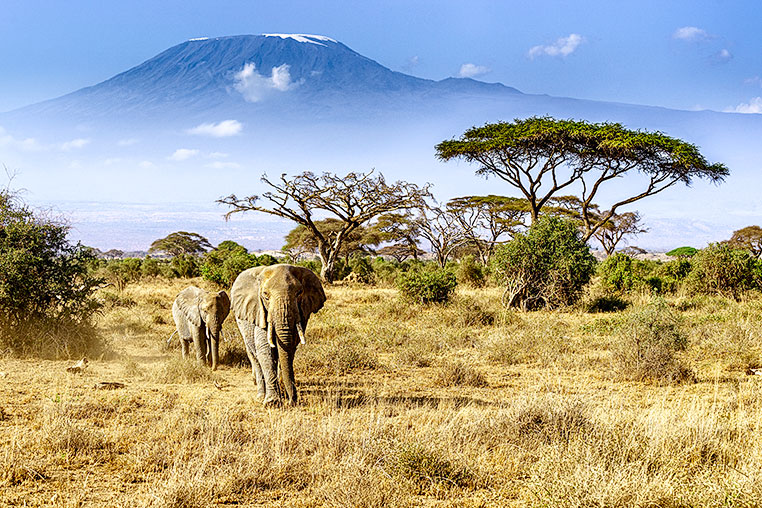 Amboseli-Fotosafari-Afrika-Fotoreise