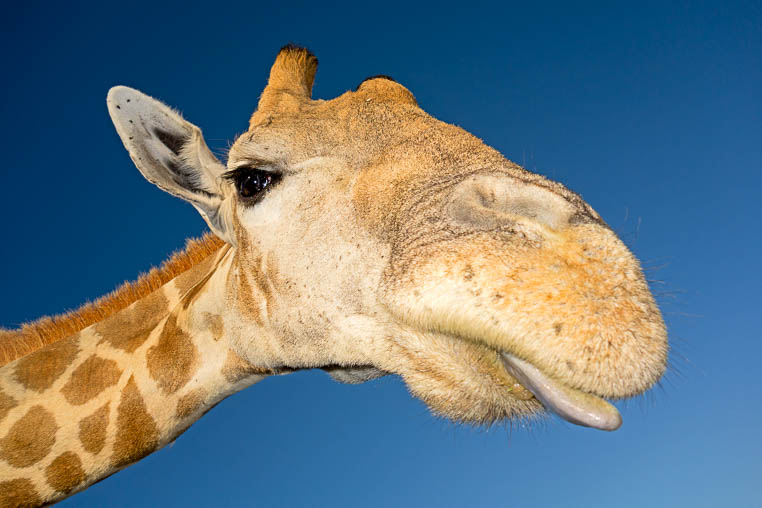 Fotoreise Südafrika