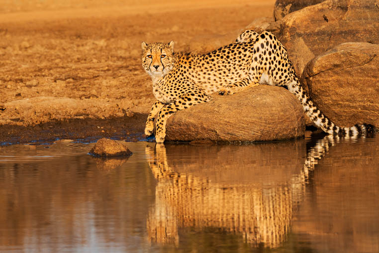 Fotoreise Südafrika
