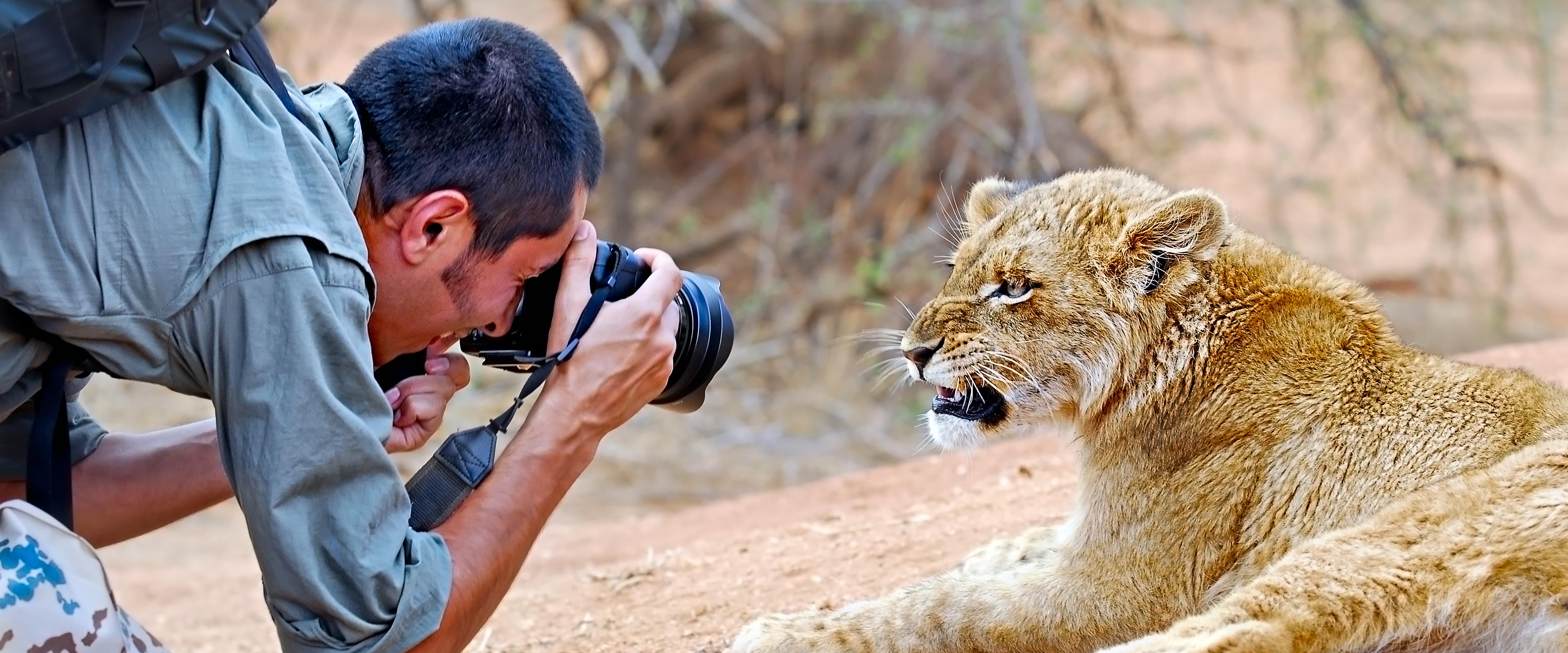 Benny Rebel fotografiert einen Löwen in Afrika aus nächster Nähe. Fotosafari