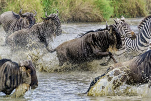 Fotoreise Kenias Norden + Masai Mara​