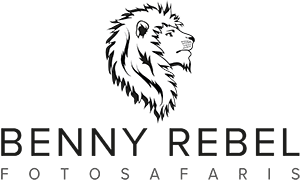 Benny Rebel Fotosafaris & Fotoreisen