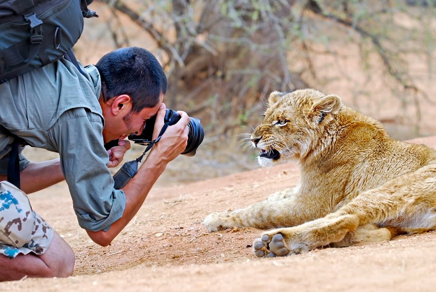 Benny Rebel fotografiert eine Löwin in Afrika