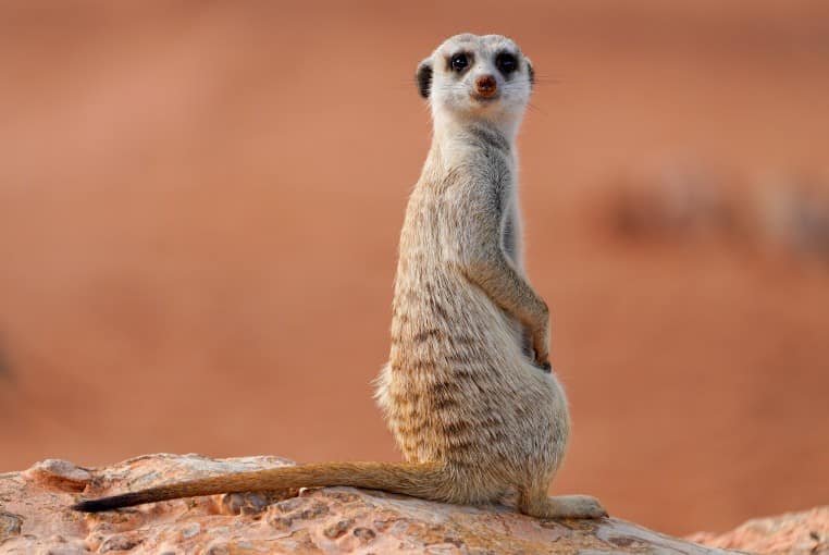 Benny Rebel Fotoreise Namibia 2021