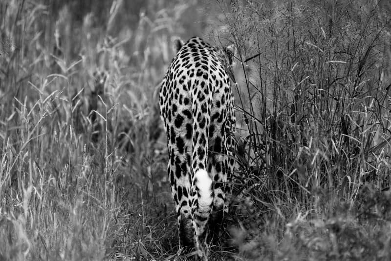 Benny Rebel Fotoreise Namibia 2021