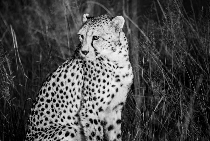 Benny Rebel Fotoreise Namibia 2021