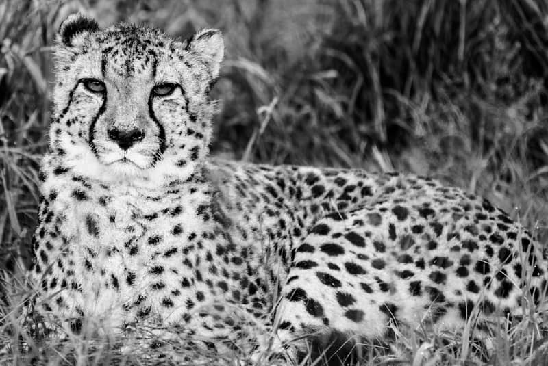Benny Rebel Fotoreise Namibia 2021