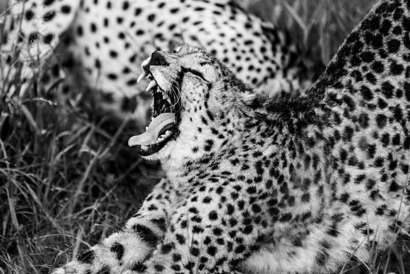 Benny Rebel Fotoreise Namibia 2021