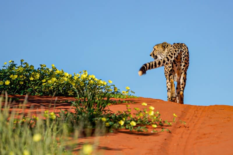 Benny Rebel Fotoreise Namibia 2021