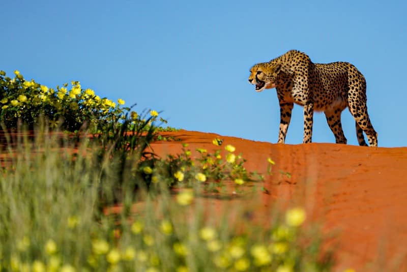 Benny Rebel Fotoreise Namibia 2021