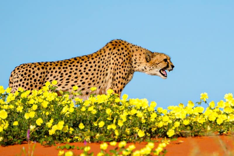 Benny Rebel Fotoreise Namibia 2021