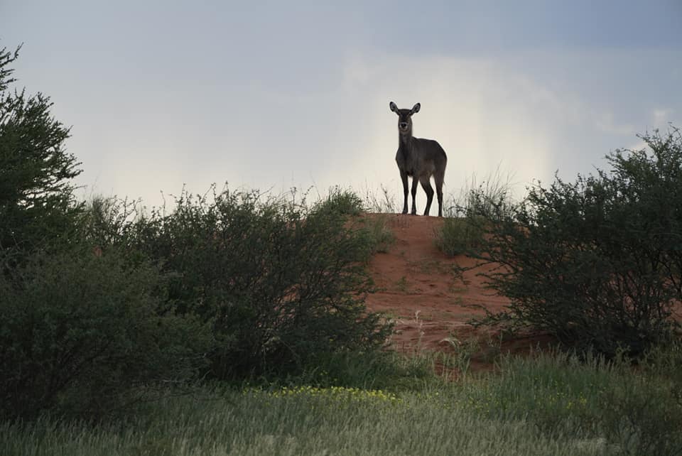 Benny Rebel Fotoreise Namibia 2021