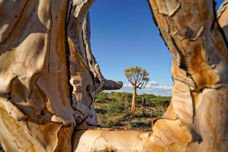 Benny Rebel Fotoreise Namibia 2021