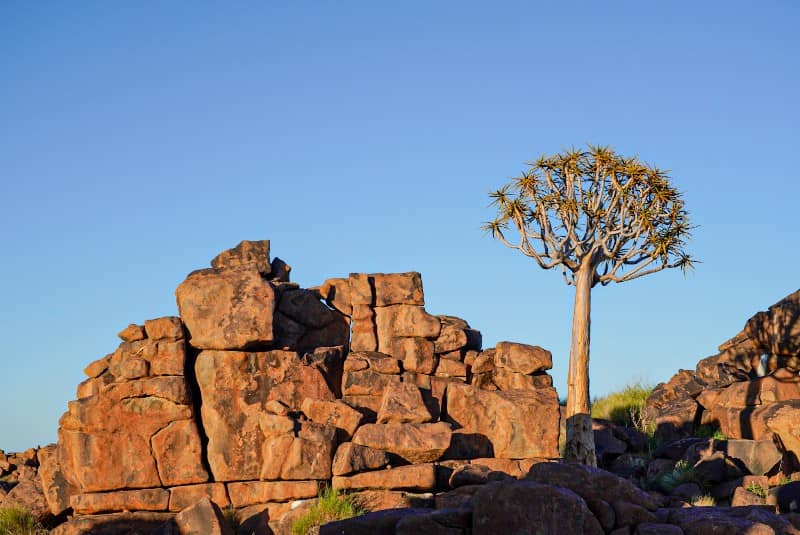 Benny Rebel Fotoreise Namibia 2021