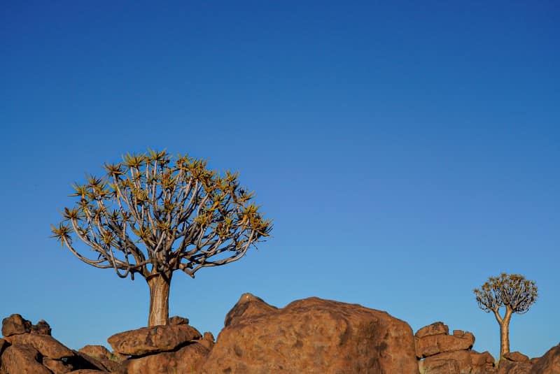 Benny Rebel Fotoreise Namibia 2021