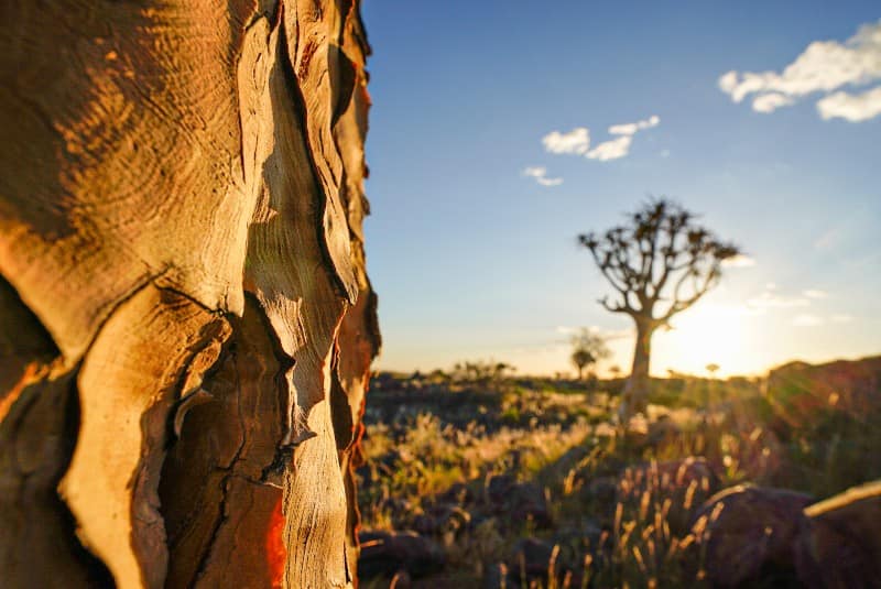 Benny Rebel Fotoreise Namibia 2021