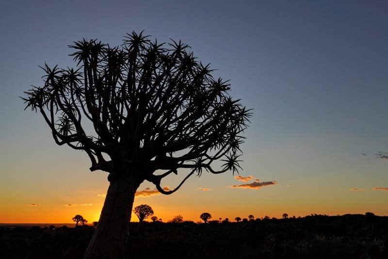 Benny Rebel Fotoreise Namibia 2021