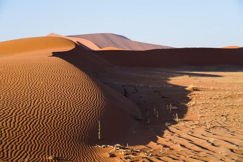 Benny Rebel Fotoreise Namibia 2021