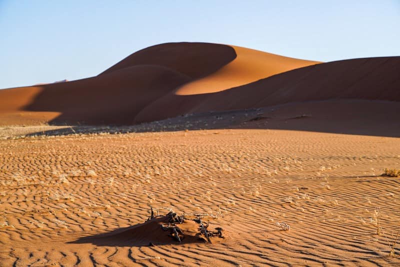 Benny Rebel Fotoreise Namibia 2021