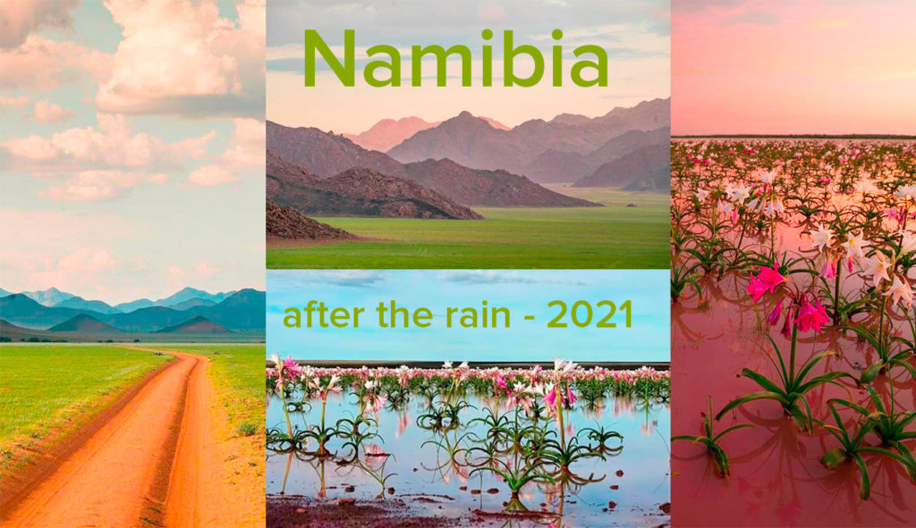 Namibia Fotoreise 2021