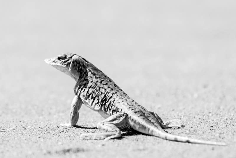 Benny Rebel Fotoreise Namibia 2021