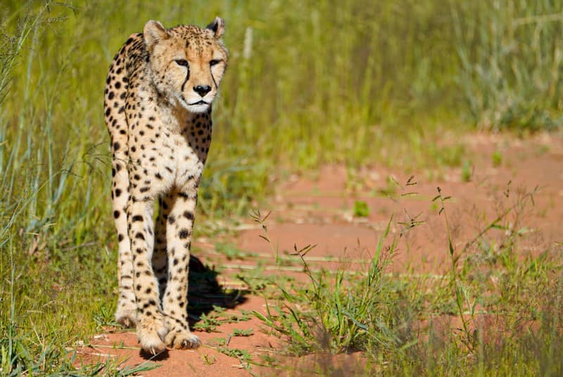 Benny Rebel Fotoreise Namibia 2021
