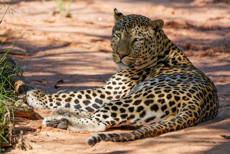 Benny Rebel Fotoreise Namibia 2021