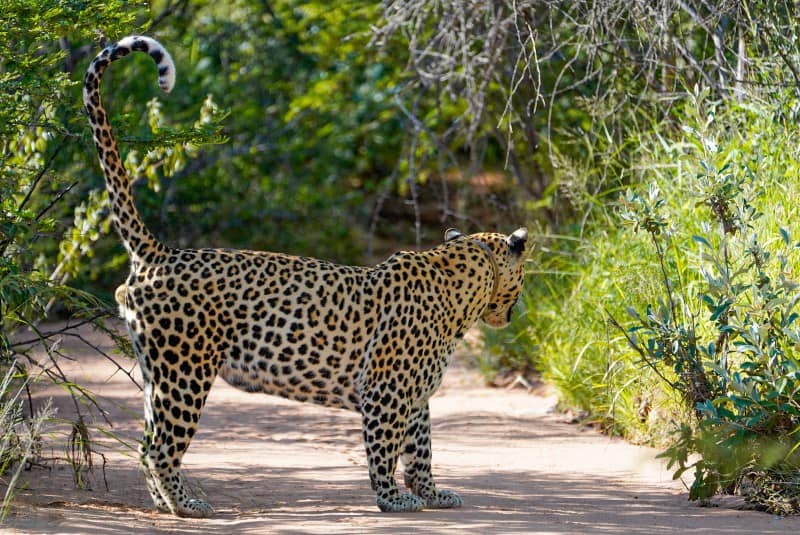 Benny Rebel Fotoreise Namibia 2021