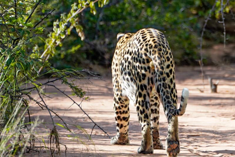 Benny Rebel Fotoreise Namibia 2021