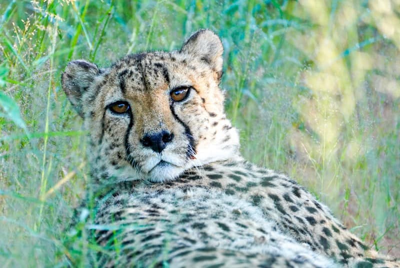 Benny Rebel Fotoreise Namibia 2021