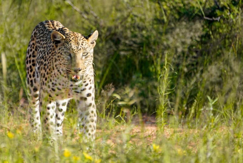 Benny Rebel Fotoreise Namibia 2021