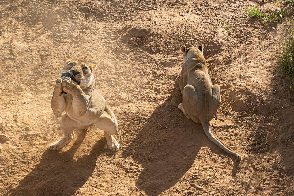 Benny Rebel Fotoreise Namibia 2021