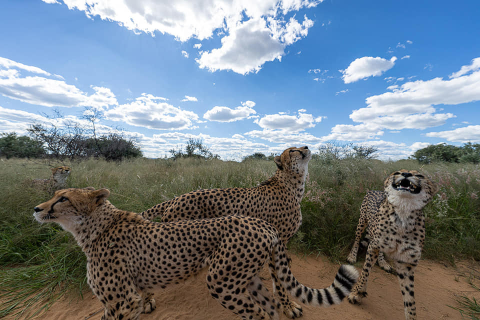 Benny Rebel Fotoreise Namibia 2021