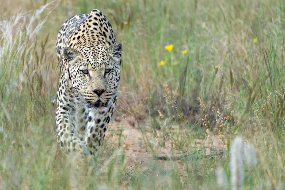 Benny Rebel Fotoreise Namibia 2021
