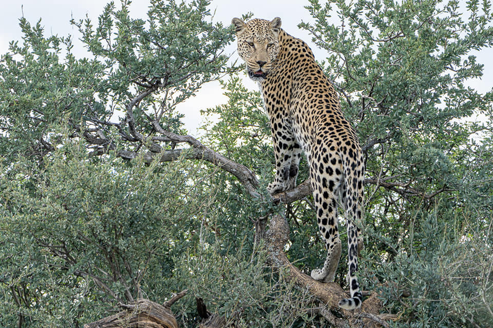 Benny Rebel Fotoreise Namibia 2021
