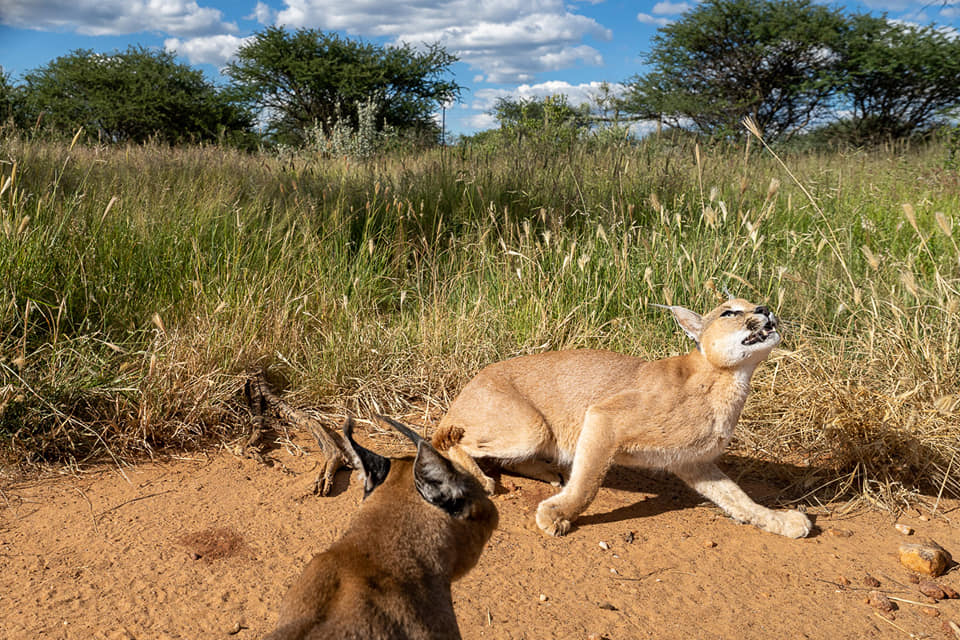Benny Rebel Fotoreise Namibia 2021