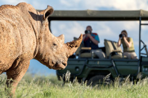 Nashorn fotografiert von Fotografen auf einer Fotoreise durch Namibia.