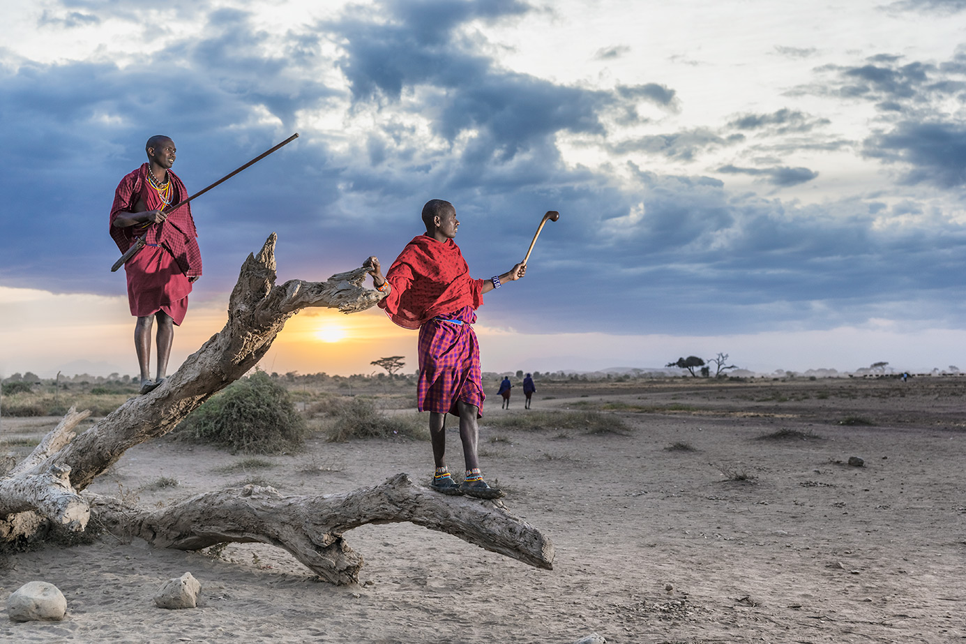 Massai-Krieger auf einem Baum fotografiert auf einer Fotoreise von Benny Rebel in Kenia - Fotosafari