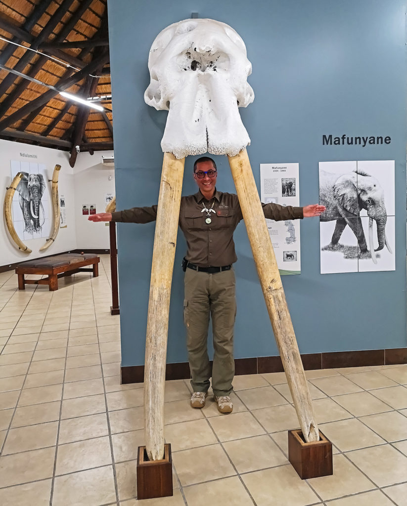 Benny Rebel im Elefantenmuseum in Letaba Südafrika