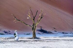 Namibia Fotoreise - Deadvlei Fotosafari