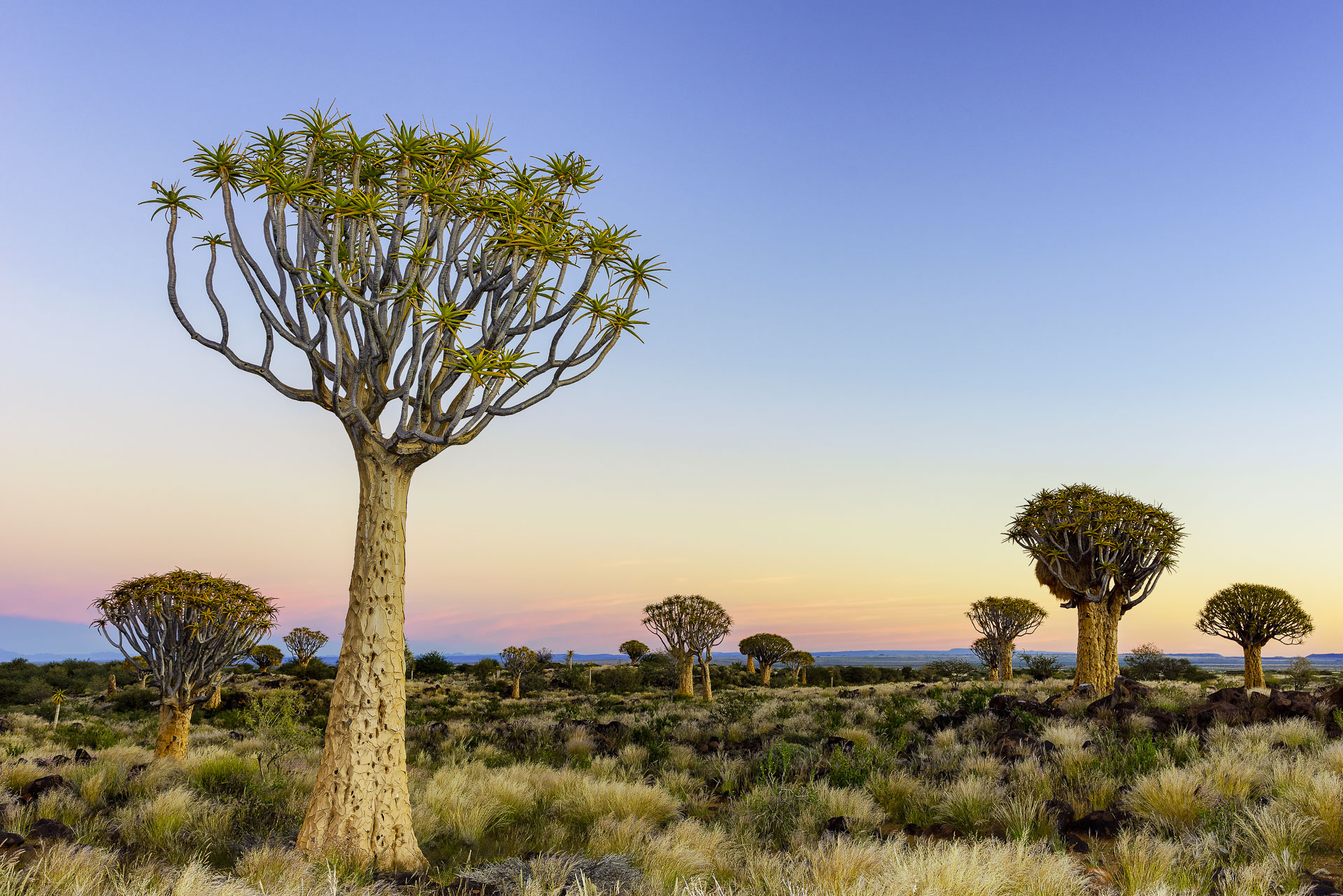 fotoreise-fotosafari-hd-2021-352-Namibia