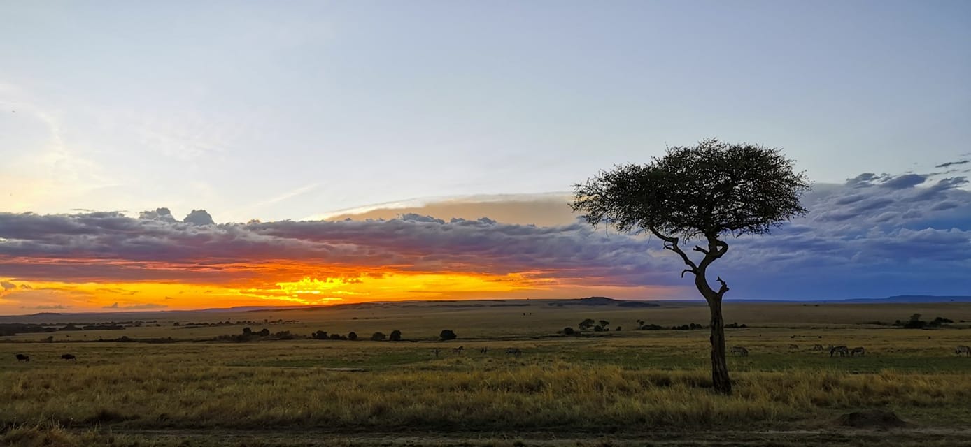 Fotoreise durch den Süden Kenias mit Benny Rebel Fotosafaris GmbH aus Hannover. Naturfotografie, Sundowner in der Wildnis Kenias.