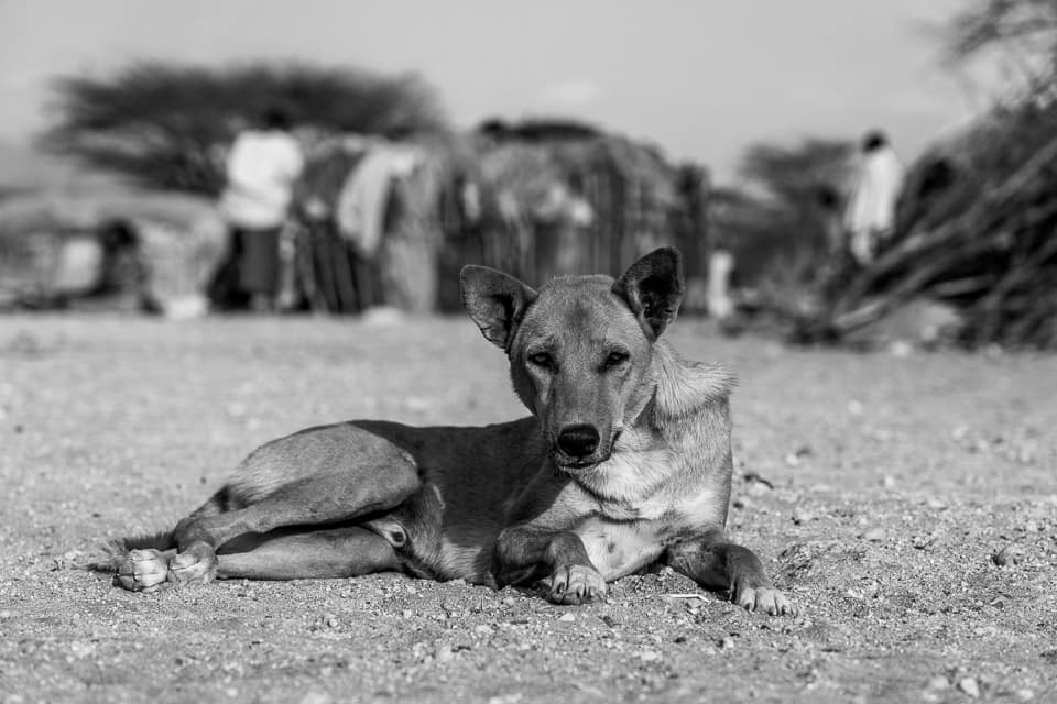 Kenia-Samburu-Dorf-Naturfotografie-16