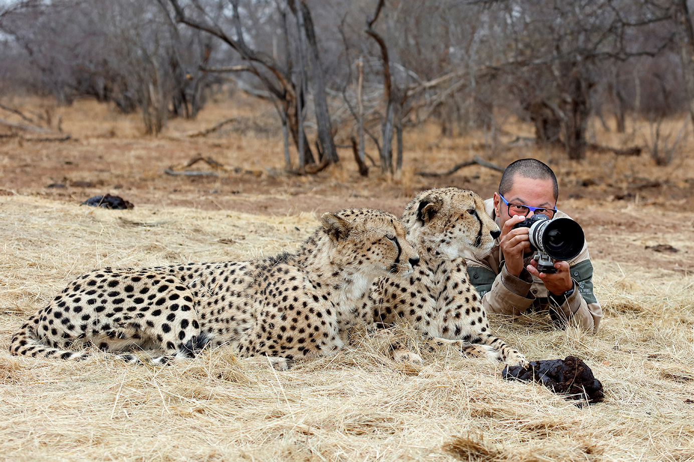 Benny Rebel und Geparde auf einer Fotoreise in Südafrika mit Benny Rebel Fotosafaris GmbH